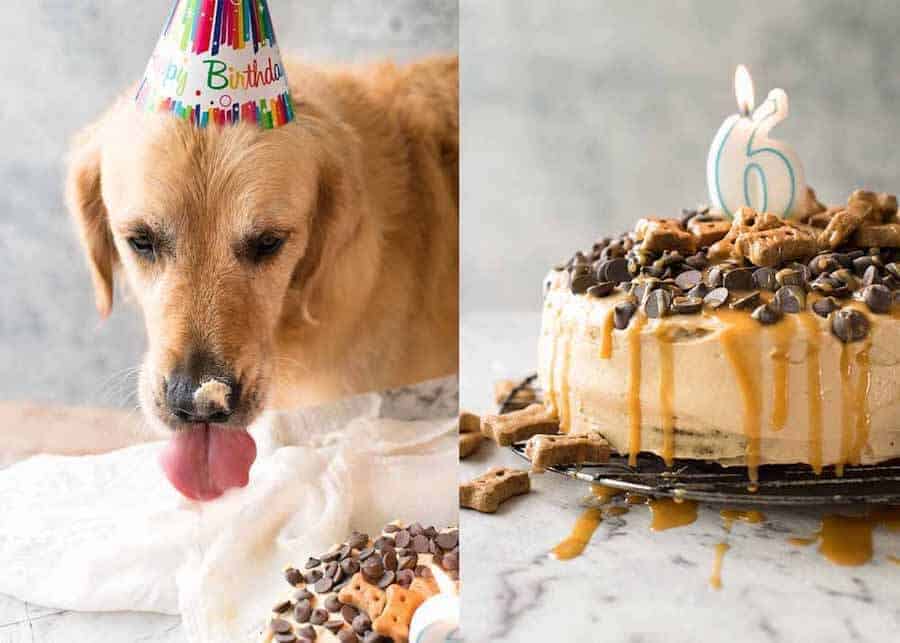 Dozer the golden retriever 6th birthday doggy cake