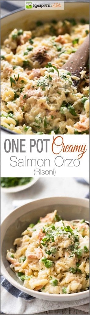 Creamy Salmon Risoni / Orzo - Made from scratch, and on the table in just 15 minutes!