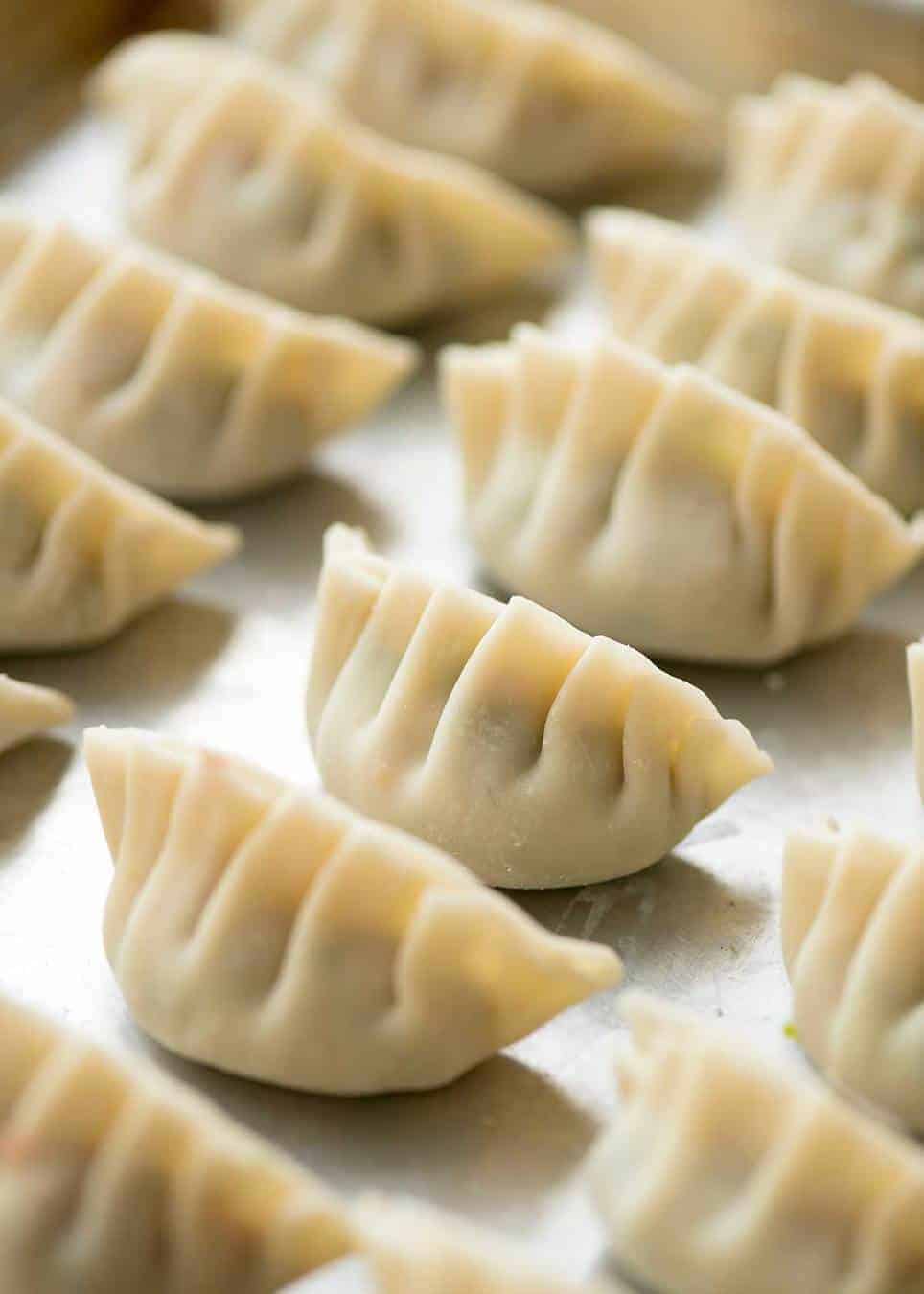 Close up of uncooked wrapped potstickers on a tray