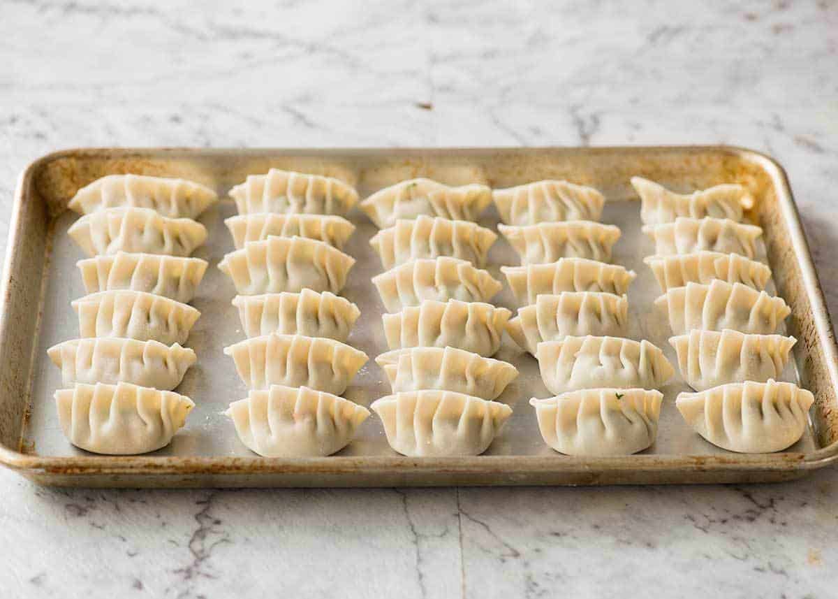 A tray filled with Potstickers ready to be cooked