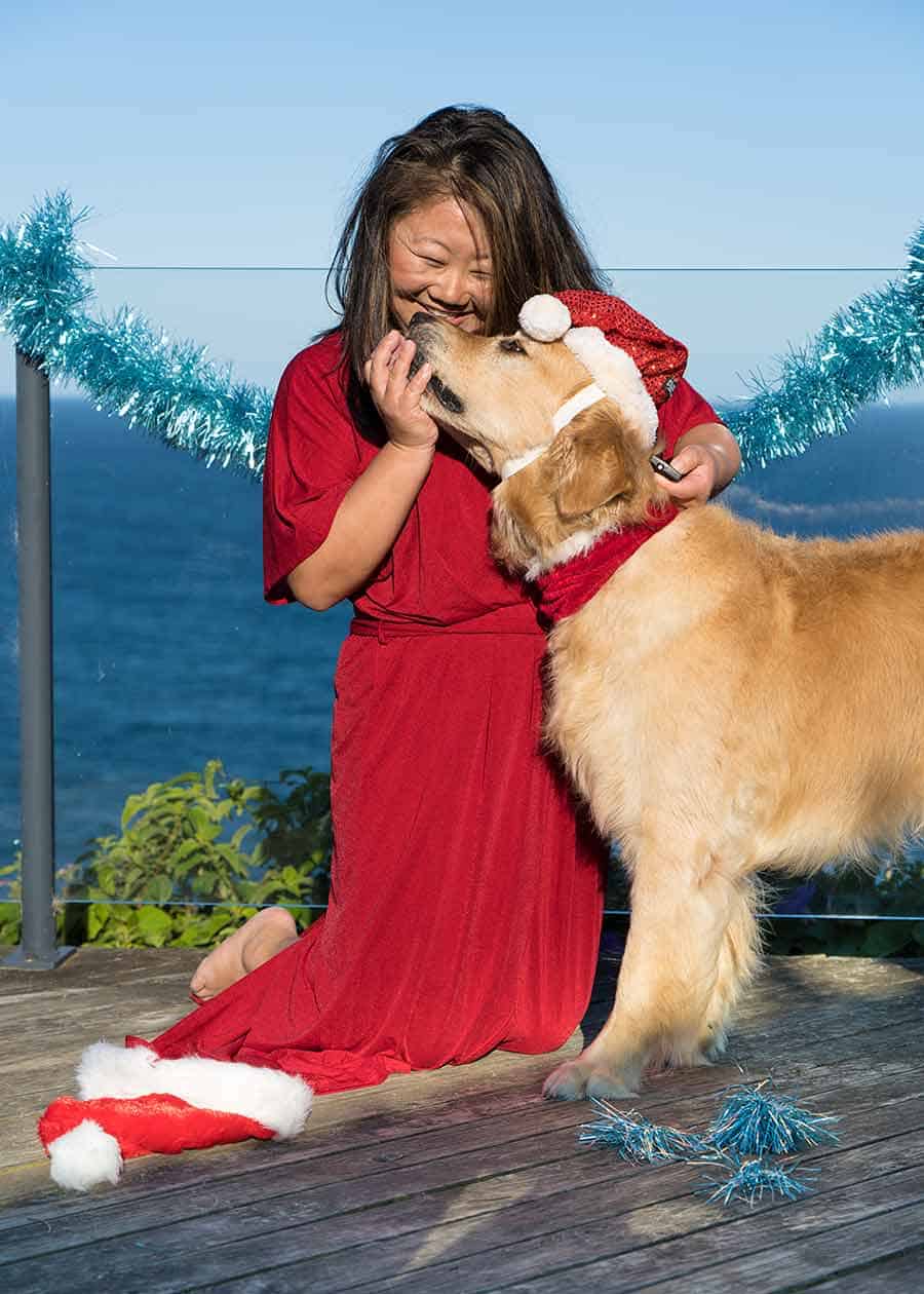 Nagi and Dozer the golden retriever dog_Christmas 2018