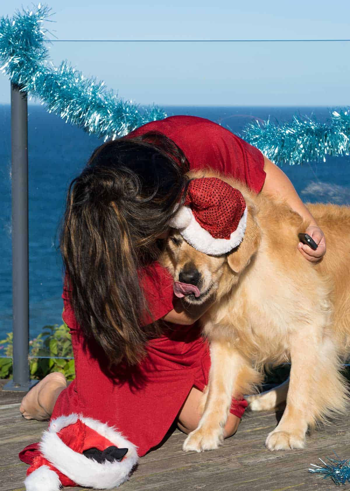 Nagi and Dozer the golden retriever dog_Christmas 2018 bloopers
