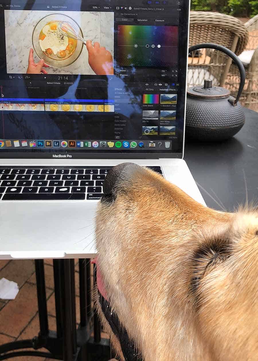 Dozer drooling over frittata video