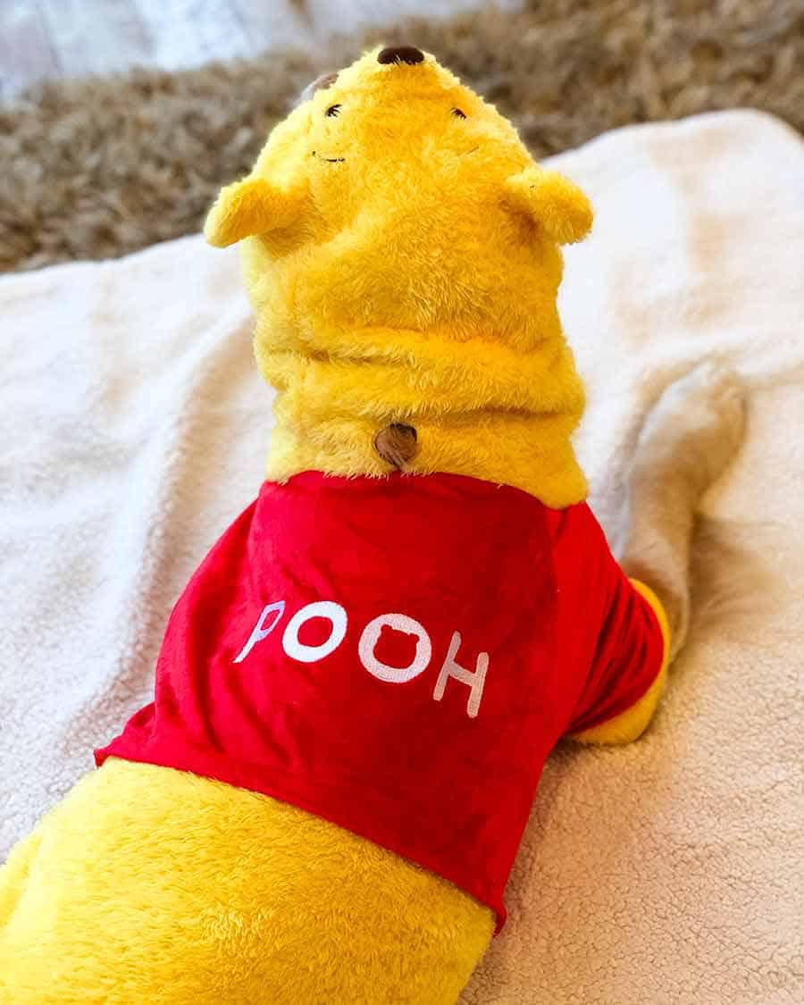 Dozer Winnie the Pooh outfit
